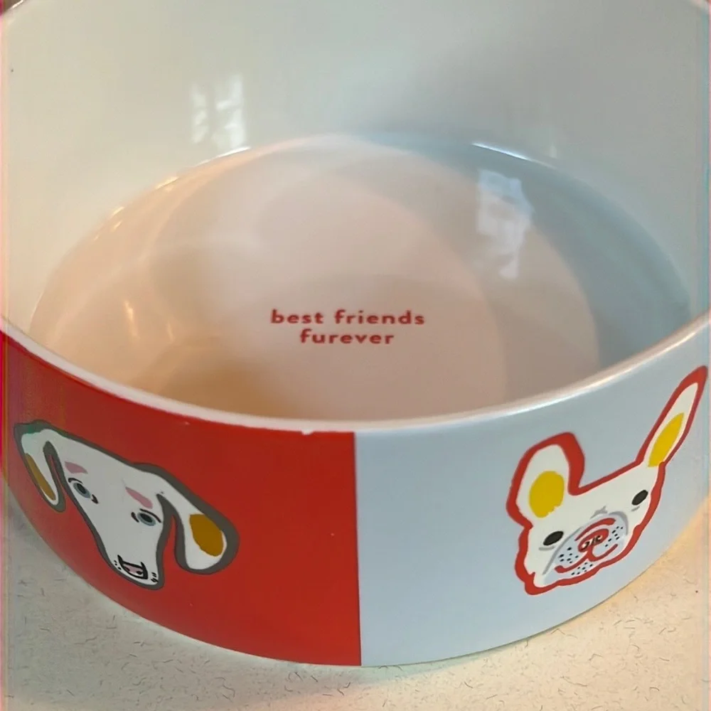 Trey Speegle original artwork “MORE PLEASE” ceramic dog bowl